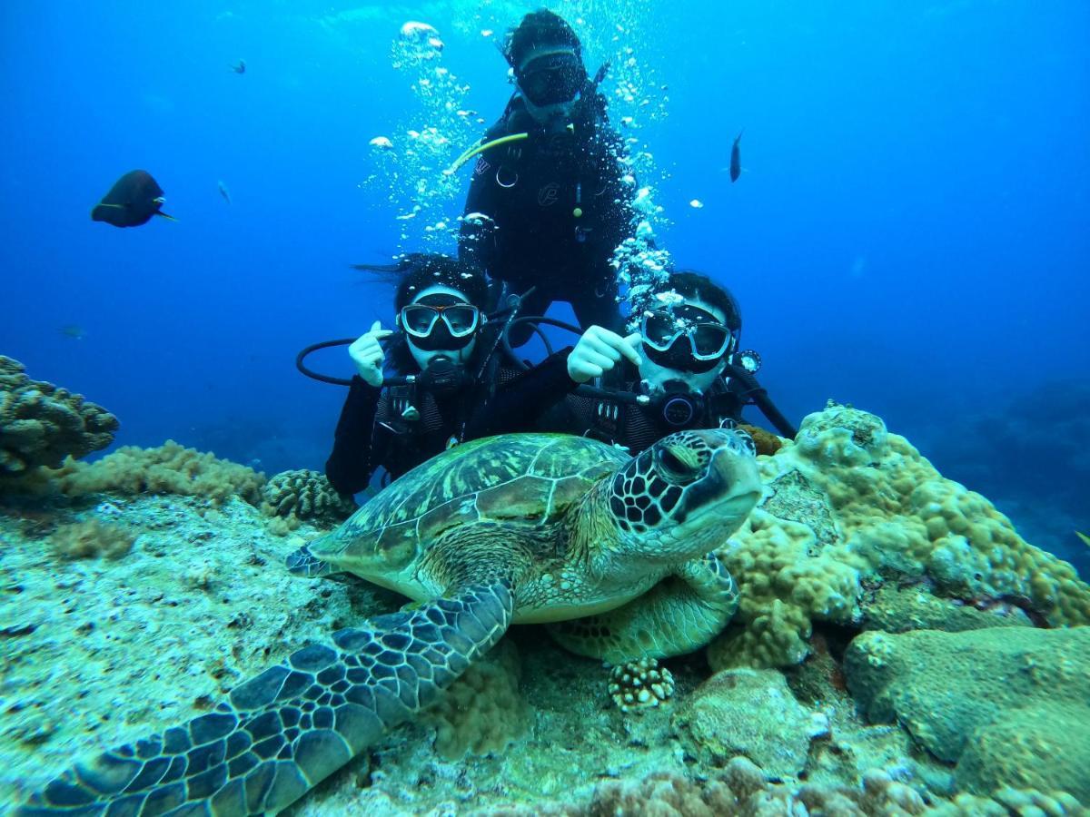 緑島郷20Ft Sea Atticアパートメント エクステリア 写真